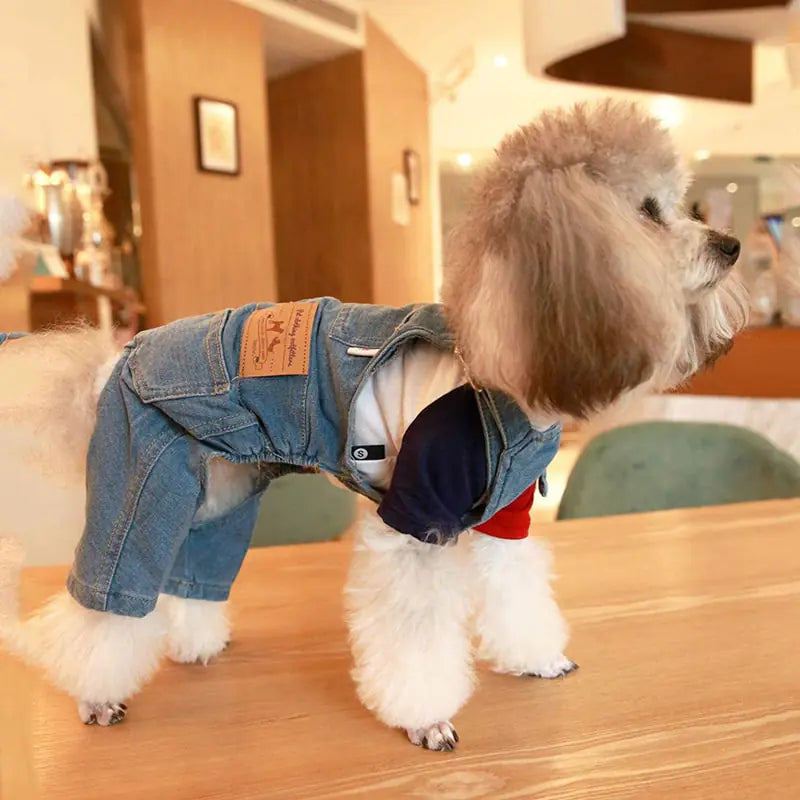 Overalls for dogs