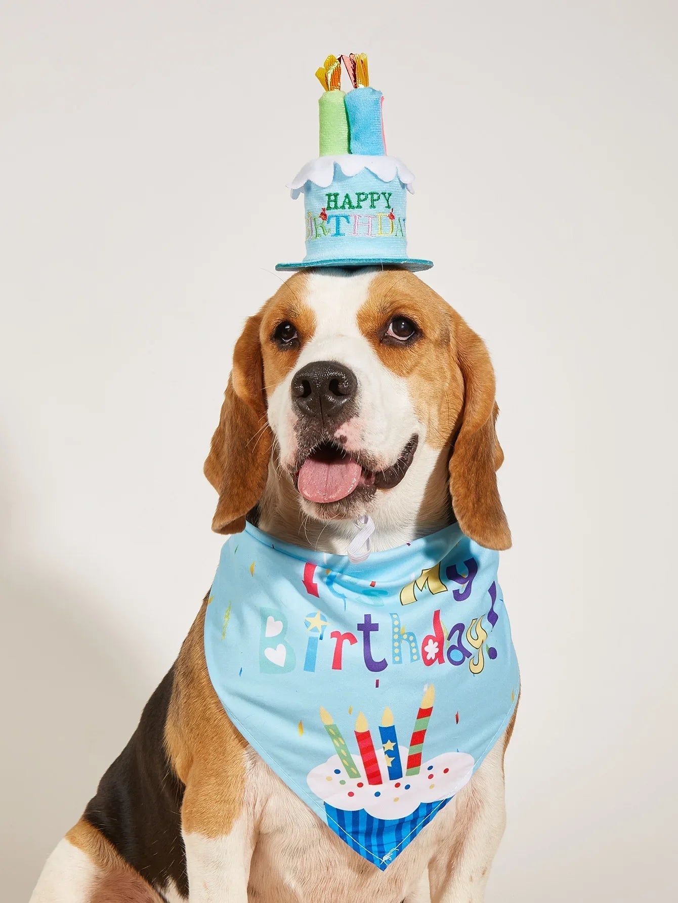 Festive dog birthday costume