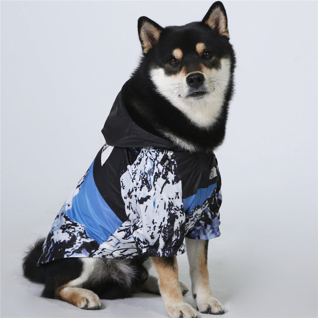 Windproof and rainproof jacket for dogs to keep them warm