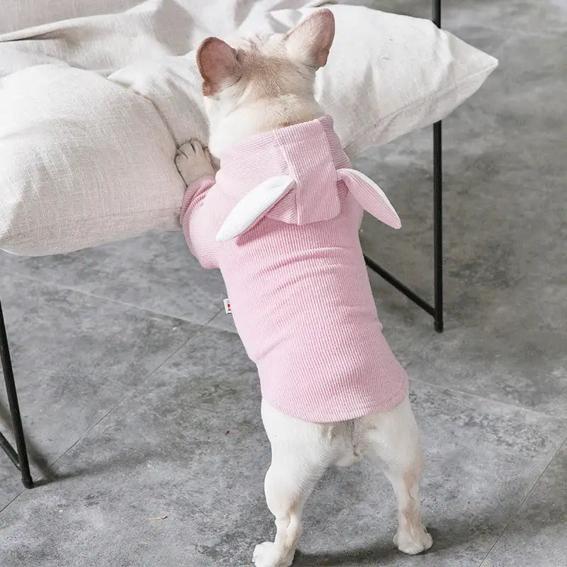 dog hoodie grey