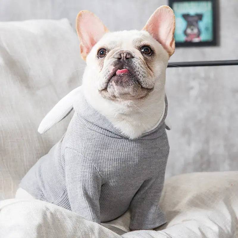dog hoodie grey