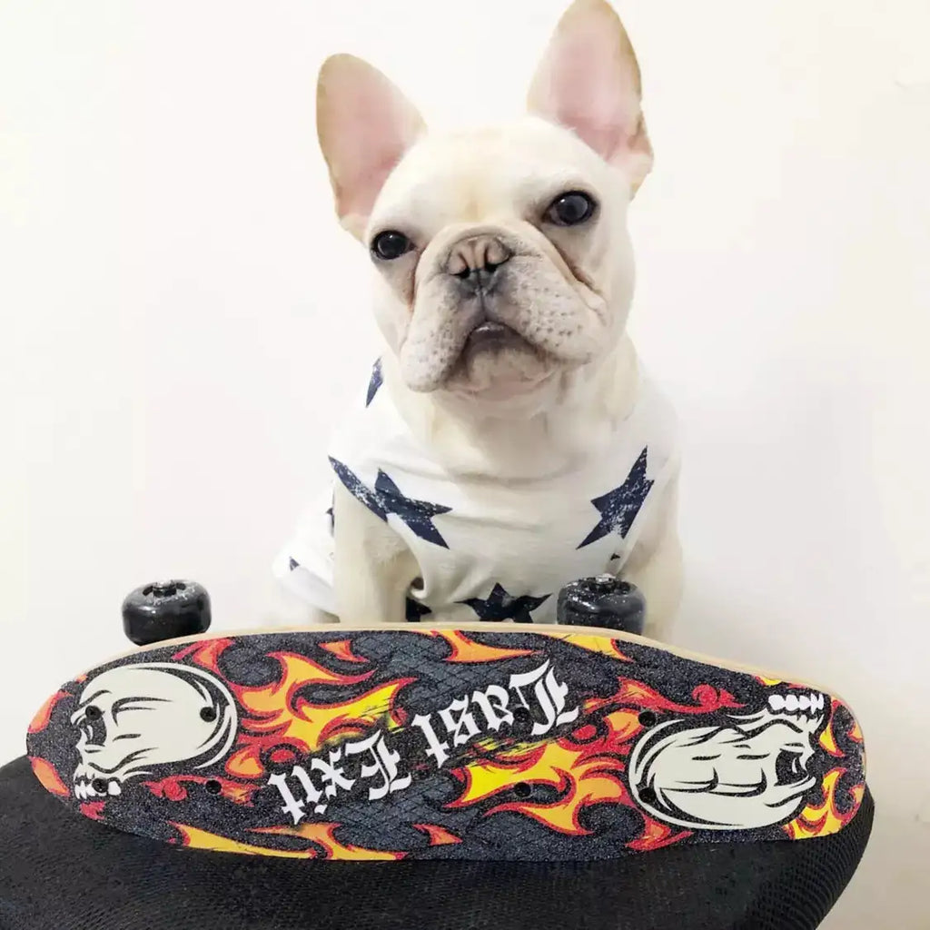 cozy pet shirts