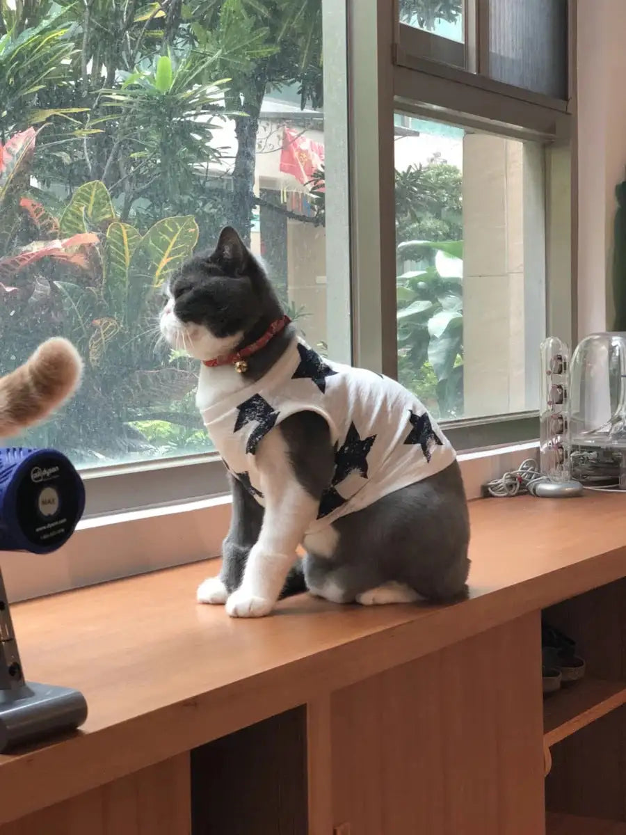 cozy pet shirts