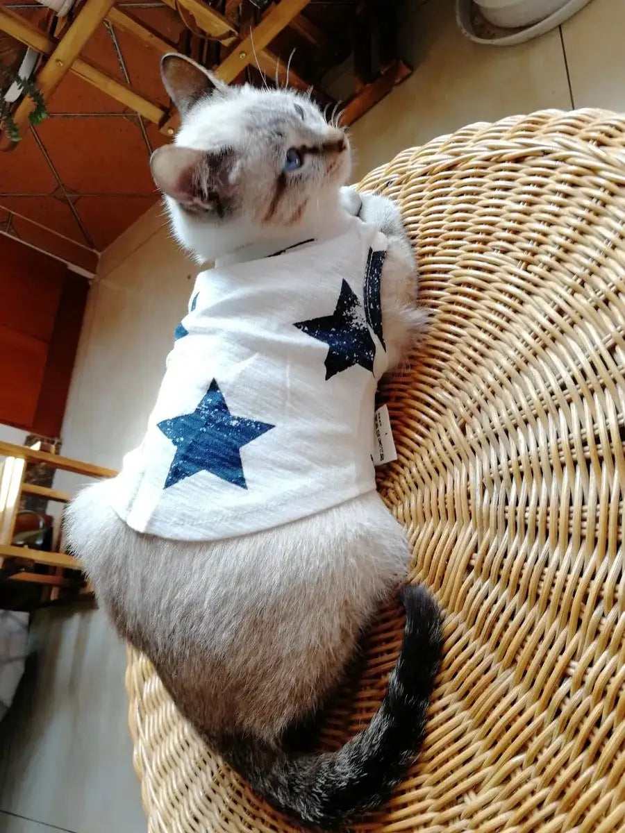 cozy pet shirts