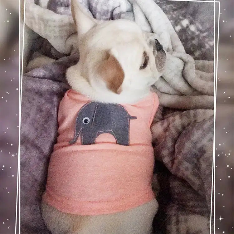 cozy pet shirts