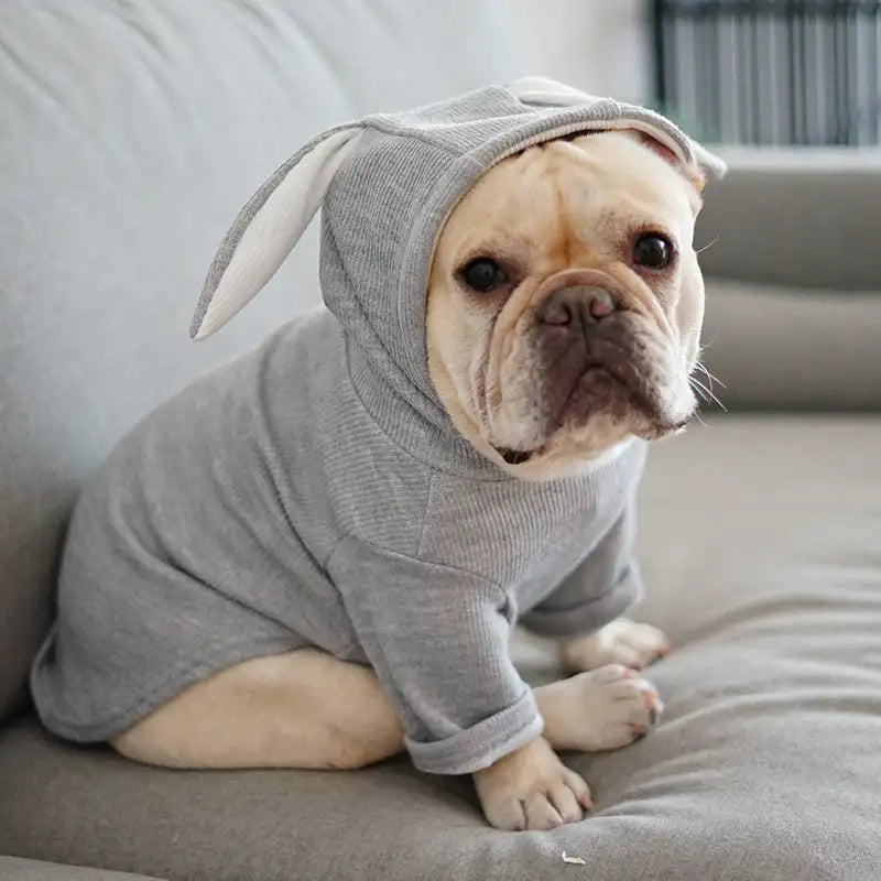 dog hoodie grey
