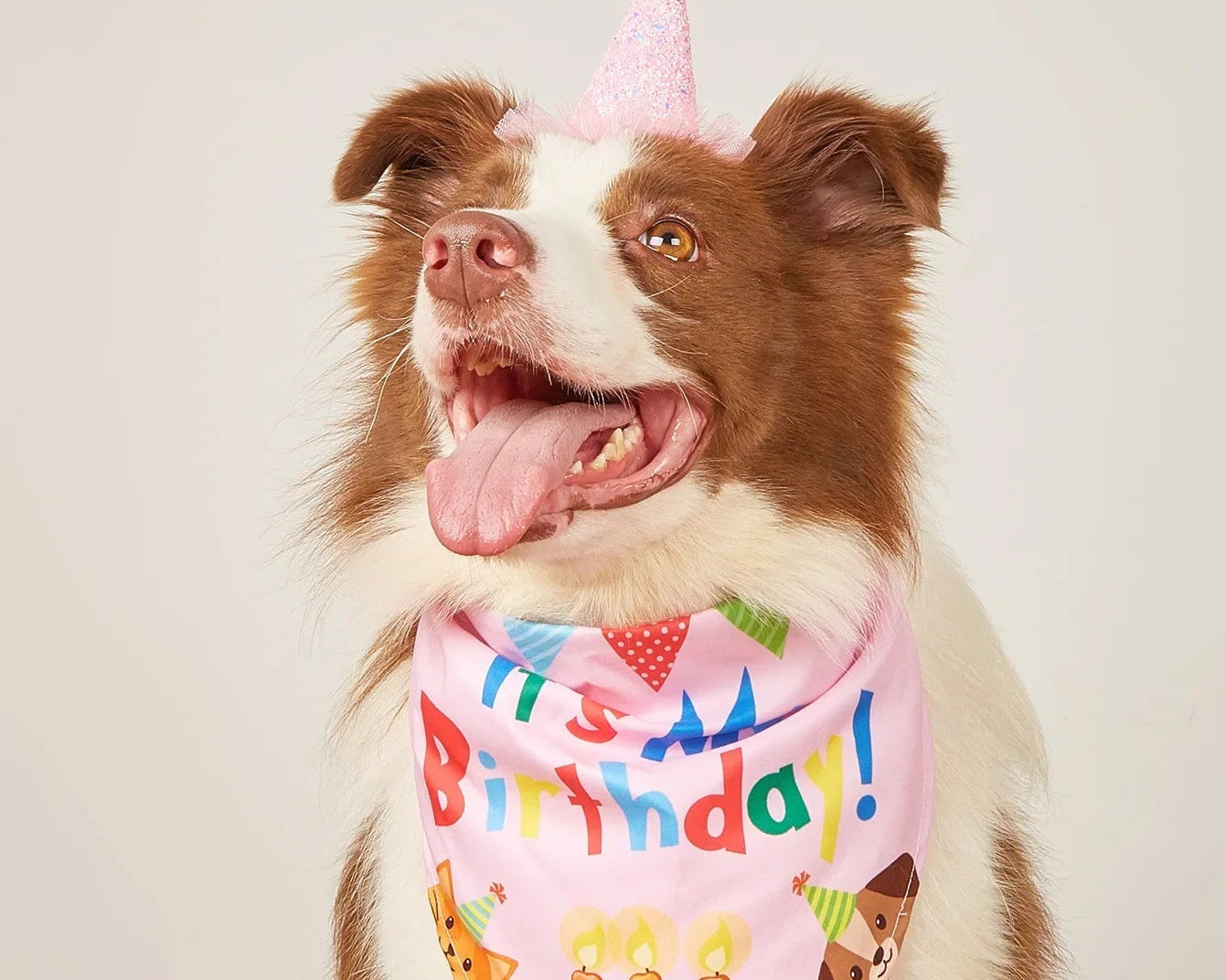 Dog Happy Birthday Decoration