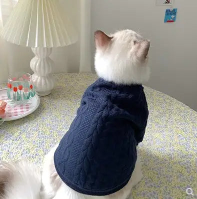 Warm And Cute cat sweater