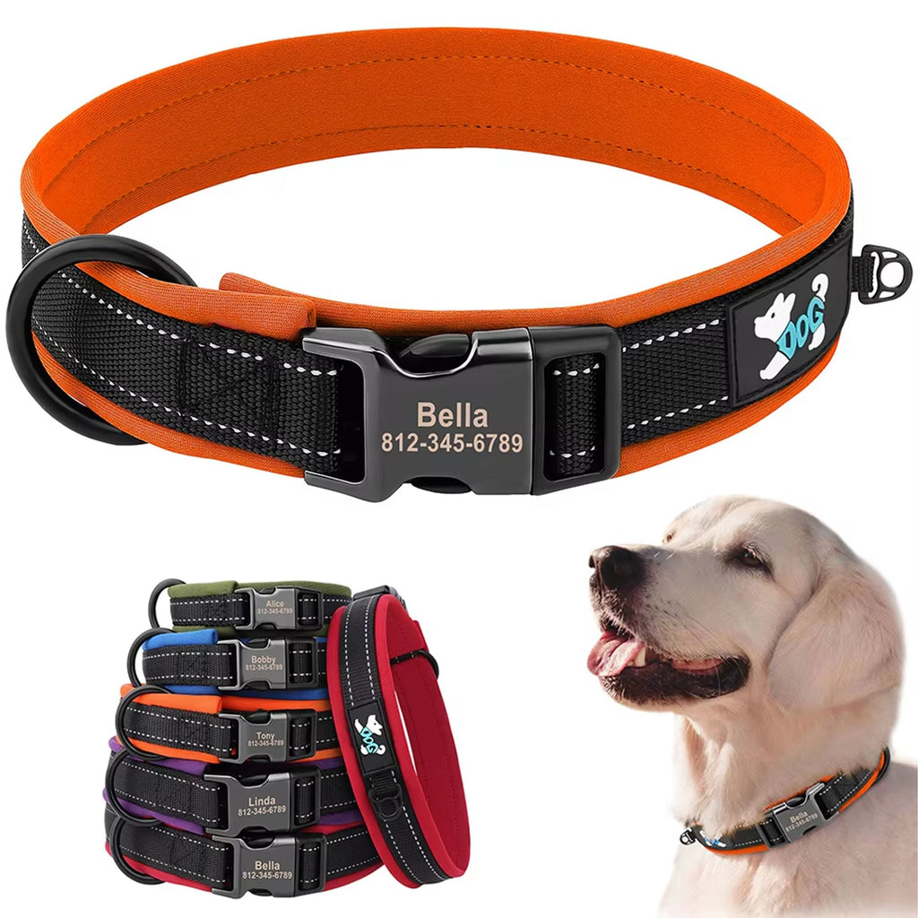 Personalized Dogs Padded Collars