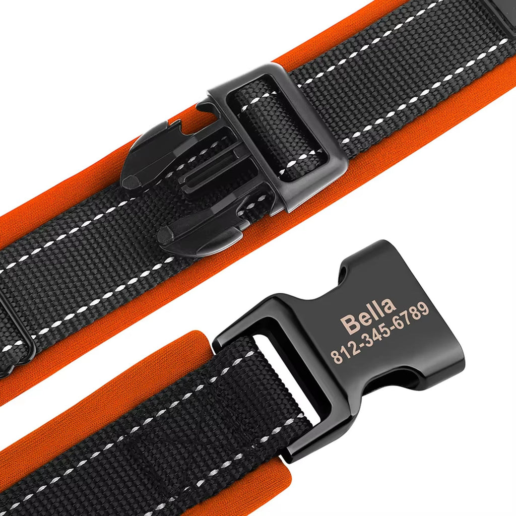 Personalized Dogs Padded Collars