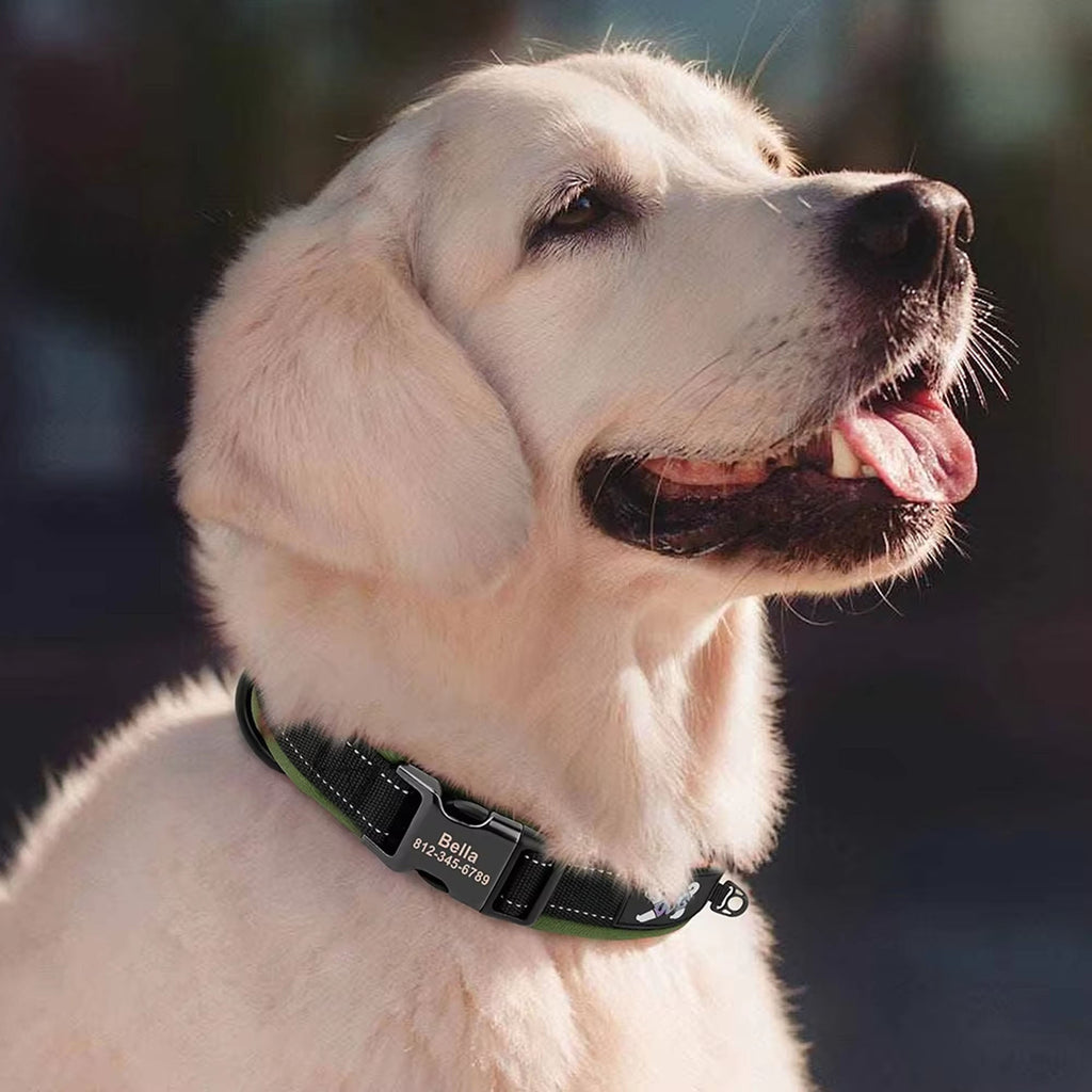Personalized Dogs Padded Collars