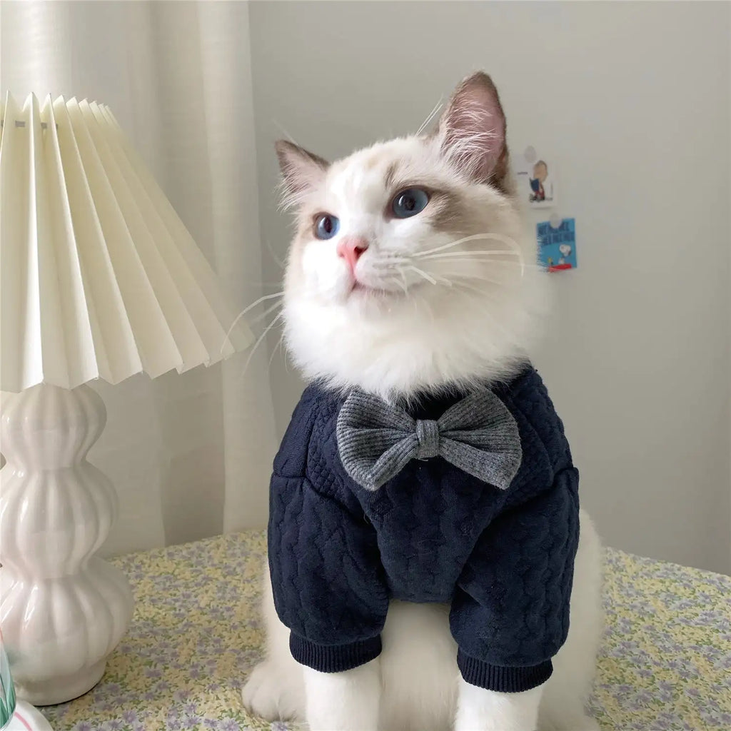 Warm And Cute cat sweater