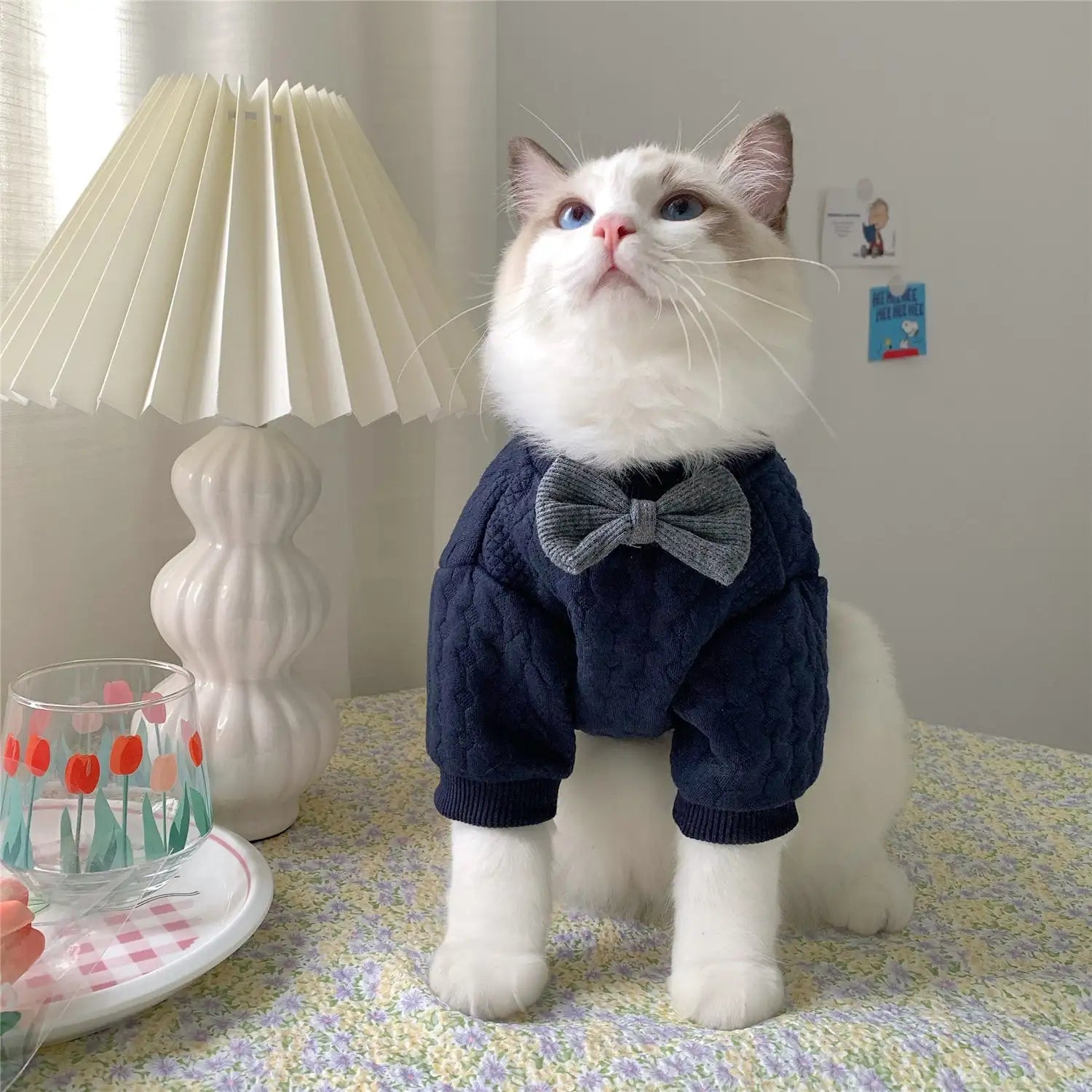 Warm And Cute cat sweater