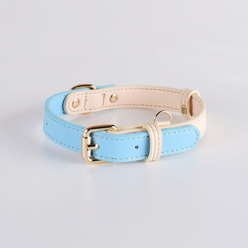2-Tone Leather Dog Collar